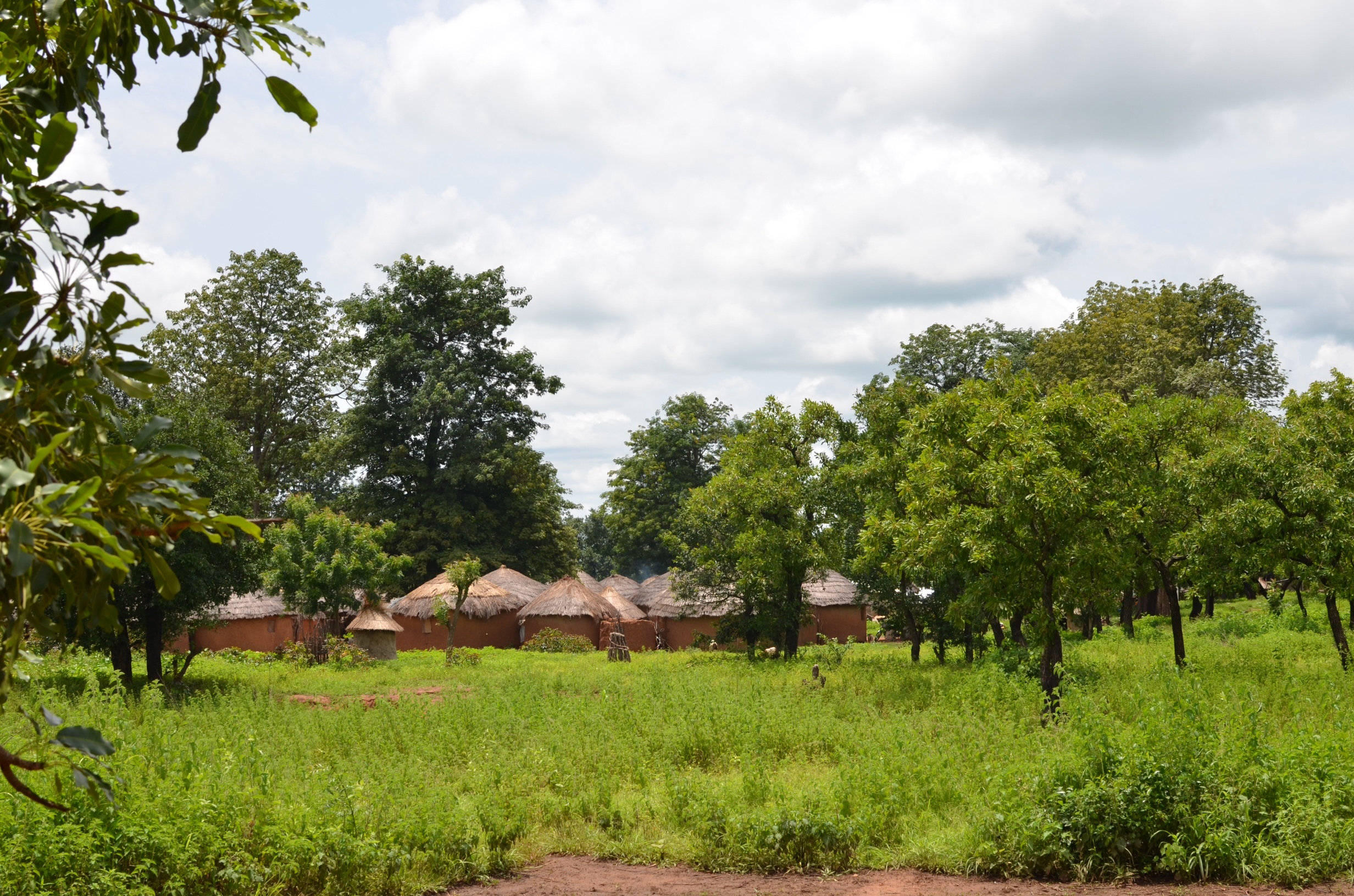 Een Dagomba-dorp in het groene landschap van Noord-Ghana